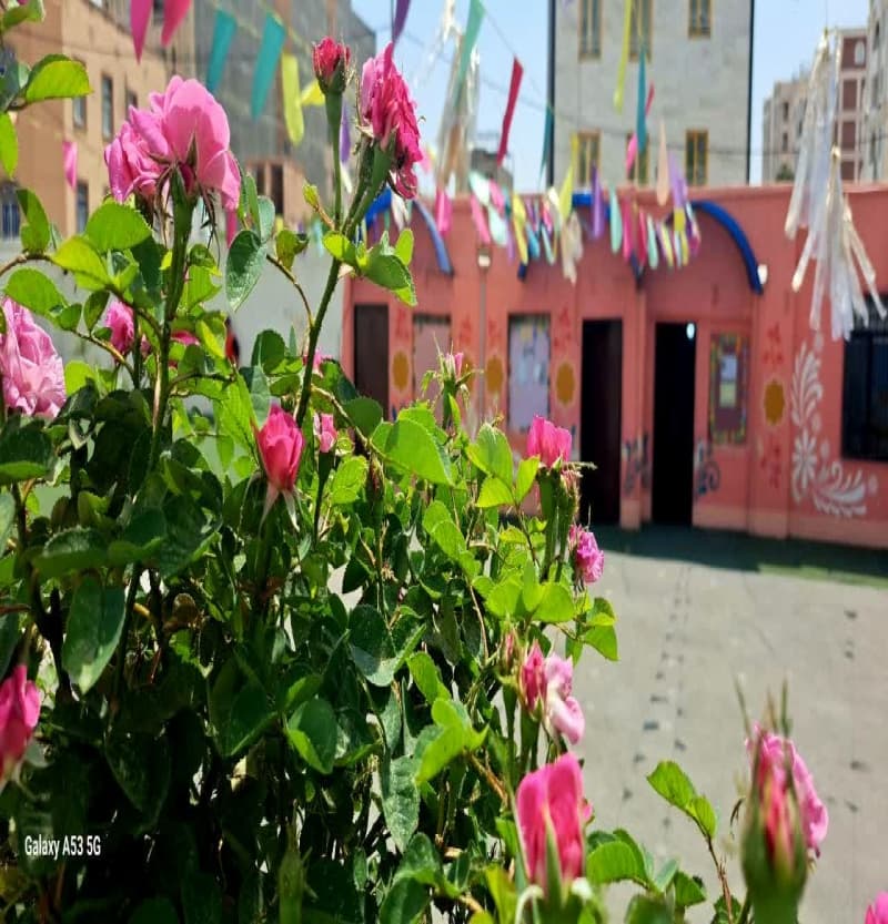 نمایی از باغچه مدرسه   اردیبهشت ماه ۱۴۰۳