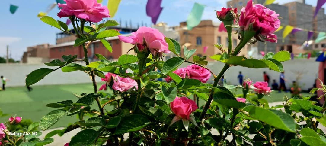 تصویر مقاله